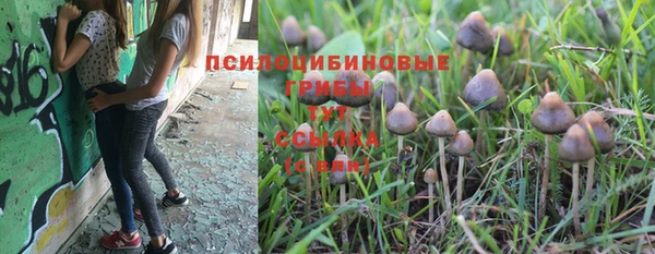 прущая мука Арсеньев