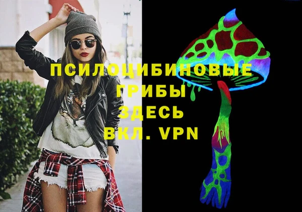 прущая мука Арсеньев