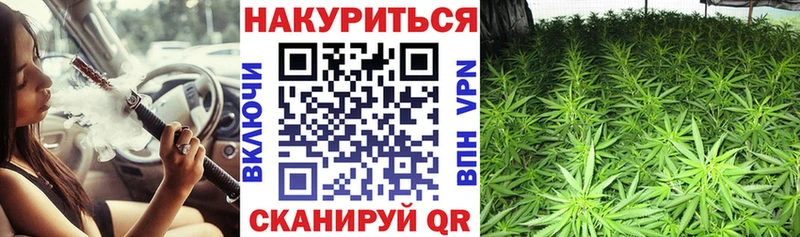 Бошки Шишки тримм Змеиногорск